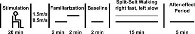 The Posterior Parietal Cortex Is Involved in Gait Adaptation: A Bilateral Transcranial Direct Current Stimulation Study